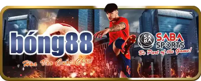 Ví điện tử bị88